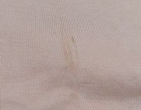 بلوز رنگی OppsiH00299 - 22